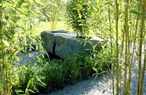 Bambusgarten