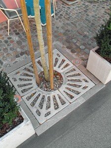 baumscheibe