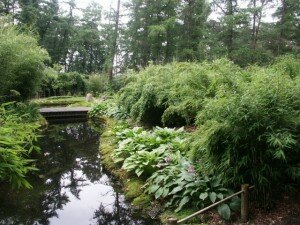 Bambusgarten