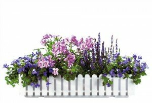 blumenkasten